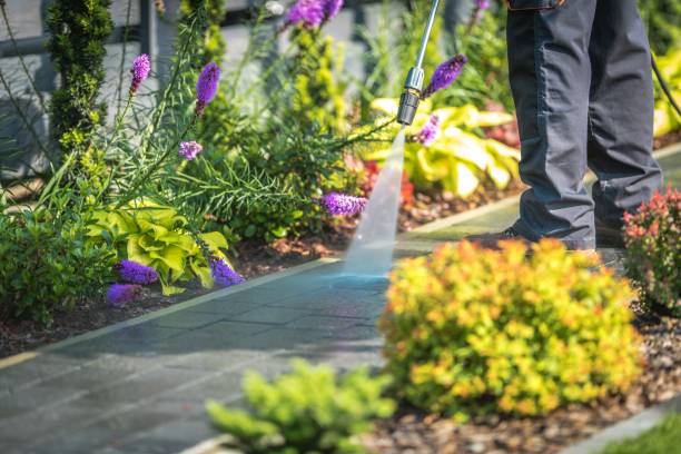 Best Winterizing Services  in Ilco, WA